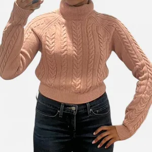 Pink turtleneck sweater aritzia thumbnail 1