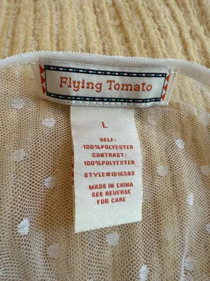 Flying Tomato NWOT Sheer White Maxi Dress with Adjustable Straps thumbnail 4