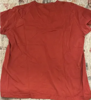 Brandy Melville baby tee thumbnail 3