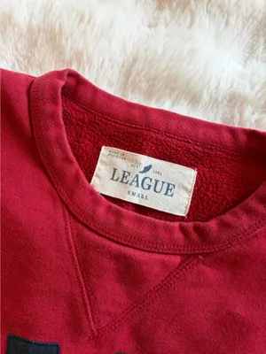 American Eagle University of Pennsylvania Crewneck thumbnail 4