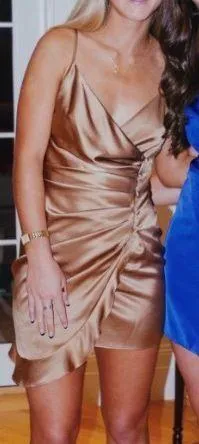 Revolve Silk Dress thumbnail 1