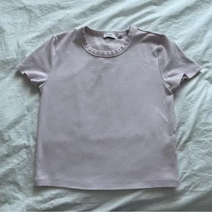 Aritzia villa pink besthug little ribbed tshirt thumbnail 1
