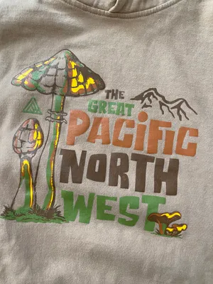 Gildan The Great Pacific Northwest Hoodie thumbnail 4