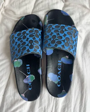 Coach Slides thumbnail 1