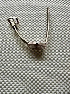 Swatch Watch Pinkbaya GP403 Contemporary 2019 thumbnail 3