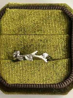 Silver Branch w/ Cubic Zirconia Stainless Steel Statement Band Size 6 thumbnail 1