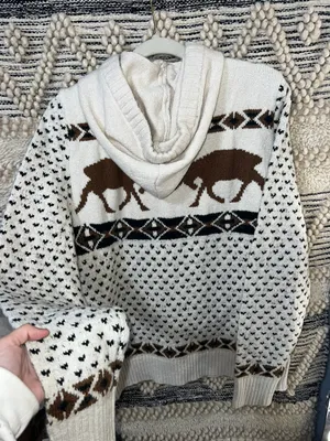 American Eagle Sweater Hoodie thumbnail 5