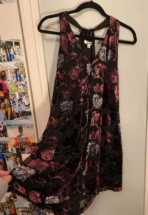 BB Dakota Dress thumbnail 3