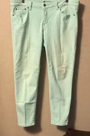 STYLUS Mint Ankle Jeans for Women Green Size 16 thumbnail 1
