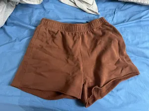 PacSun Brown  Shorts thumbnail 1