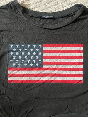 Brandy Melville Alien American Flag Crop Top thumbnail 4