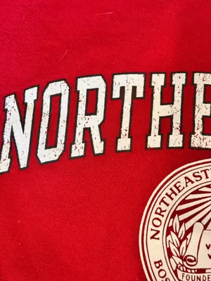 Champion Northeastern University Red Sweatshirt M Collegiate Huskies thumbnail 6