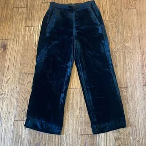 J.Crew velvet black high rise pull on pants size 2 thumbnail 11