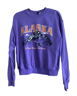 H&M Alaska Graphic Purple Pullover Size Large thumbnail 1