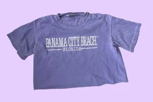Vintage y2k Distressed Lavender Panama City Beach Florida Crop Top 🔥 thumbnail 1