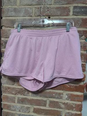 Hollister Pink Gilly Hicks Active Mesh Shorts thumbnail 3
