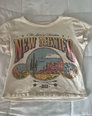 Hollister Baby Tee shrit  thumbnail 1