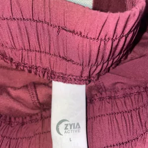 Woman’s size large fleece Zyia active joggers thumbnail 4