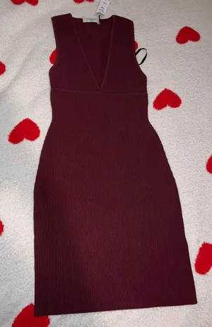 Aritzia Babaton Dress thumbnail 1
