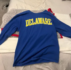 Champion Delaware  Long Sleeve thumbnail 1