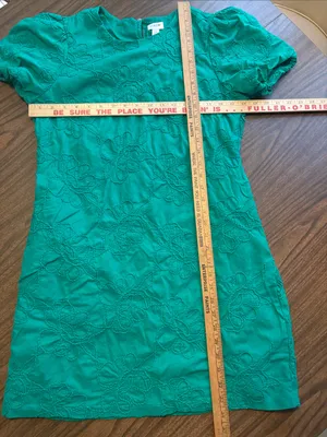J Crew Size 10 Dublin Green Eyelet Puff Sleeve Floral Embroidery Dress thumbnail 4
