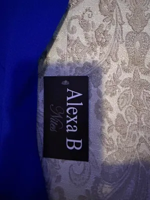 Alexa B Nites blue maxi dress in size 6 thumbnail 2
