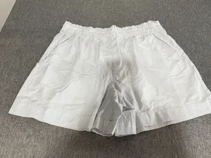 Aerie Women's Sz L Good Day Shorts Light Blue Striped High Rise Boxer Shorts thumbnail 1