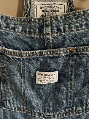 Levi’s Shorts Overall thumbnail 2