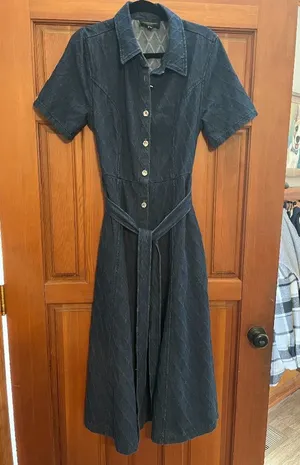 Freemarket Confident Strides Denim Midi Dress in Large thumbnail 1