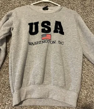 USA embroidered Hoodie Gray thumbnail 1