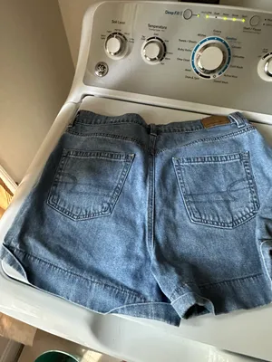 American Eagle Outfitters Shorts thumbnail 2