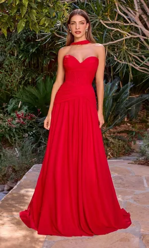Ladivine CD395 Prom Dress thumbnail 1