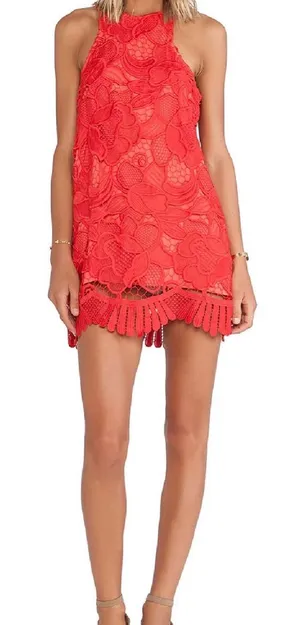 Lovers + Friends Red Lace Crochet Mini Dress thumbnail 1