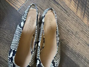 Avellini Snake-Print Pointed Toe Slingback Flats in Black & Cream Made in Italy thumbnail 4