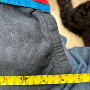 Aviator Nation Gray Sweatpants with Multicolor Stripes thumbnail 3