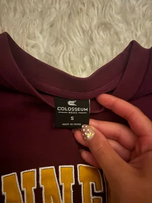 Colosseum Athletics Minnesota Hoodie thumbnail 2