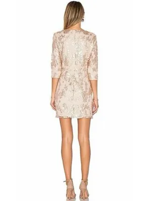 Lovers + Friends Blush Sequin Floral V-Neck Mini Dress thumbnail 4