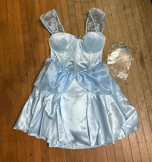 Dolls Kill blue Princess Cinderella satin velvet Costume thumbnail 1