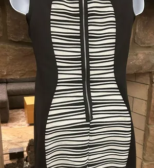 R&M Richards Black and White Sleeveless Sheath Midi Dress size 10 beautiful! thumbnail 2