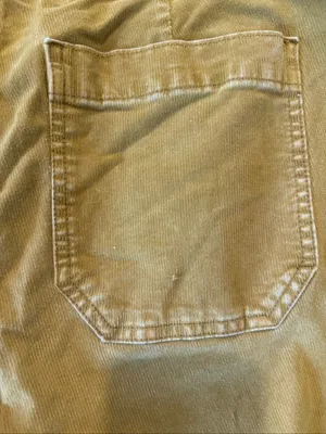 J.Crew Billie crop Demi boot mustard corduroy pant size 28 thumbnail 8