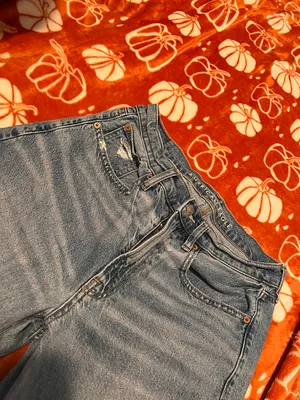 American Eagle outfitters dad fit baggy jeans thumbnail 4