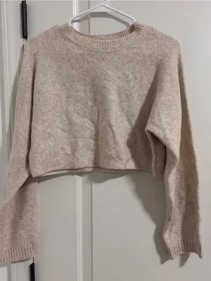 Open Edit Cropped Crewneck Sweater in Light Taupe thumbnail 1