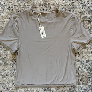 aerie Short Sleeve Tee in Light Taupe thumbnail 2
