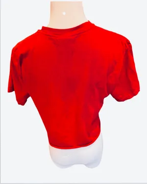Comfort Colors Northeastern University Red Crop Top Tshirt Collegiate S Huskies Boston thumbnail 4