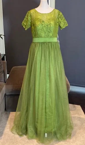 Women’s Full Length Tulle & Lace Sort Sleeve Dress with Zip Up Back Size 12 NWT thumbnail 1