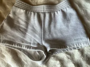 Aritzia sweatshorts perfect fit  thumbnail 1