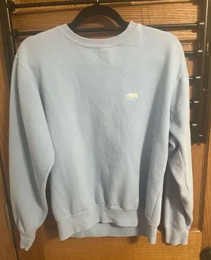 Light Blue Crewneck Brandy Melville thumbnail 1