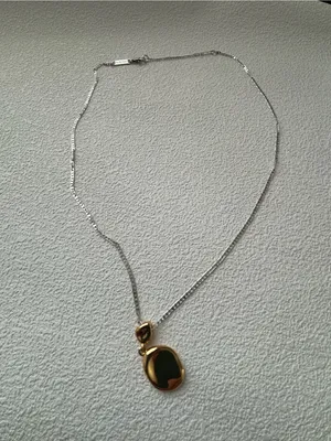 NWOT Jenny Bird Two-Tone Silver Chain Necklace with Gold Pendant Charm thumbnail 7
