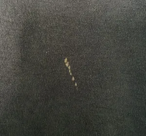 Ralph Lauren polo thumbnail 3