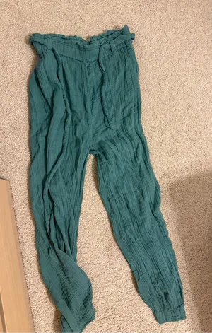 Free People Seafoam Green Elastic Waist Pull-On Trousers with tie thumbnail 1